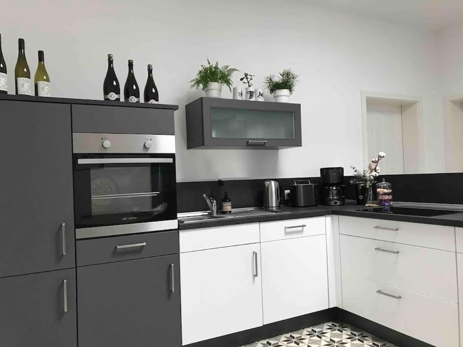 Weinlofts An Der Mosel Mit E10 Ladestation Apartment Köwerich Exterior foto